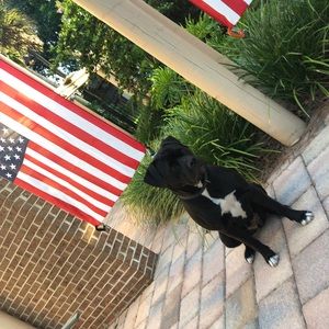 Meet your Posher, Corbin